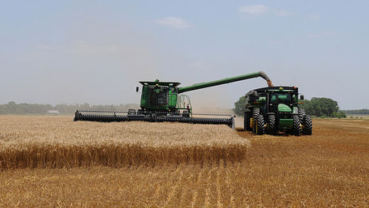 Wheat harvester Wheat harvester