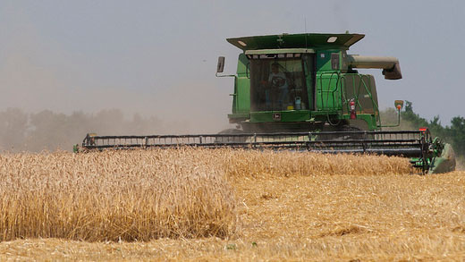 combine in Kansas wheat field