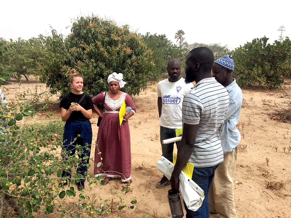 Peace Corps volunteers and training team members in the field in Senegal