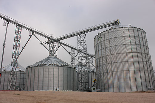 Grain silo, stored grain