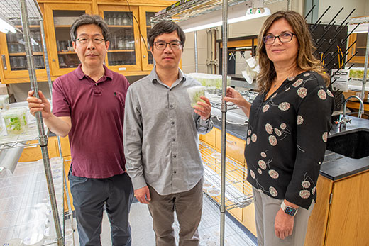 Two men and one woman standing in university laboratory Two men and one woman standing in university laboratory
