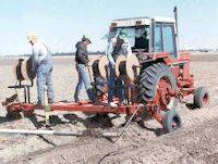 Plowing in dripline in 1990 