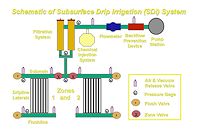 Schematic of a basic subsurface drip irrigation (SDI) system