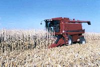 Harvesting 300 bu/acre field corn grown using SDI in 1998