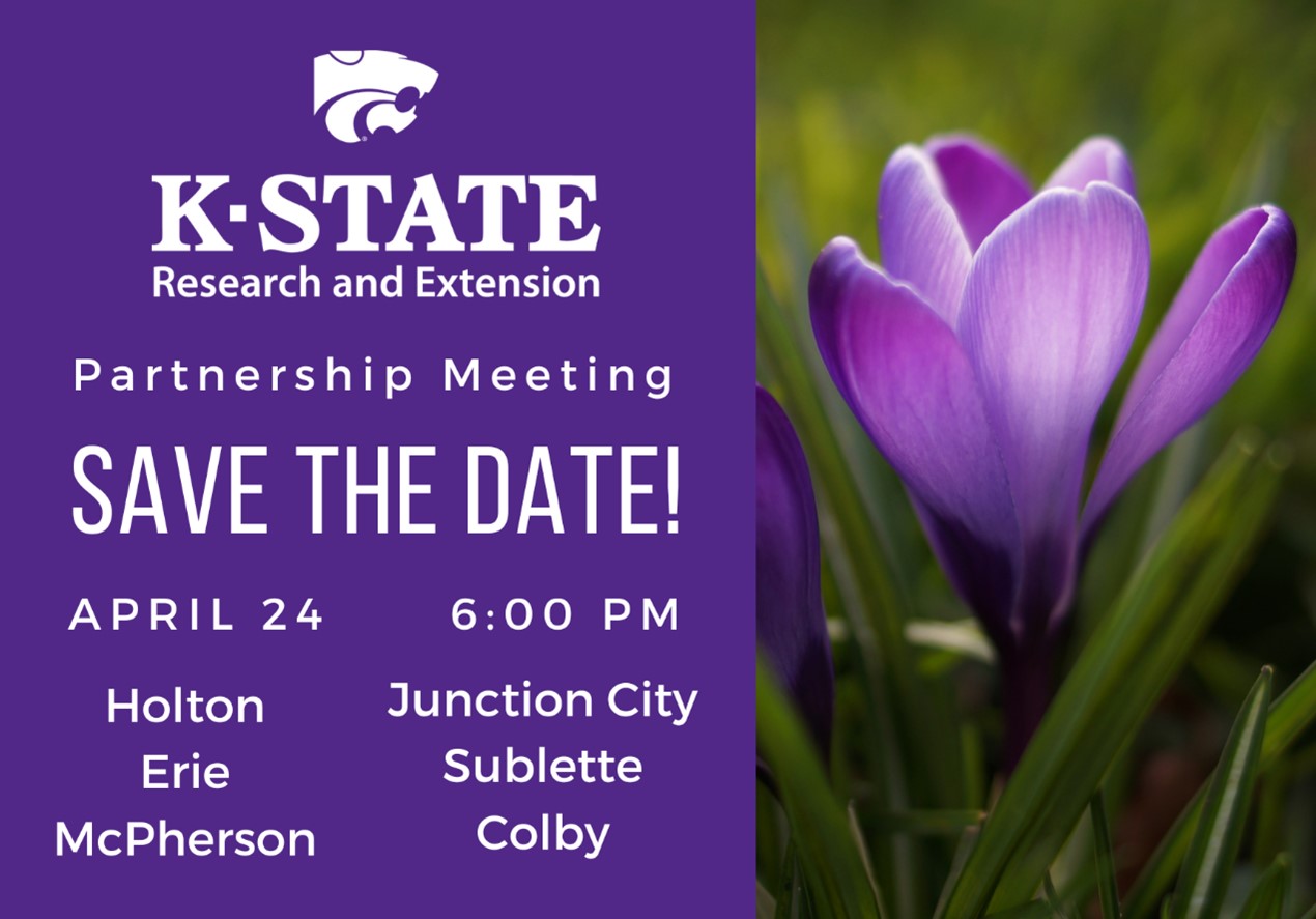 Save the date card a purple tulip. Event information provided in text.