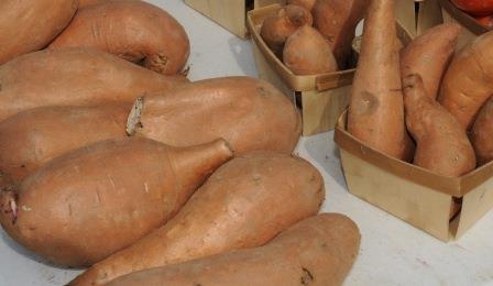 Sweet potato roots