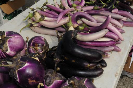 Assorted types of eggplant fruits