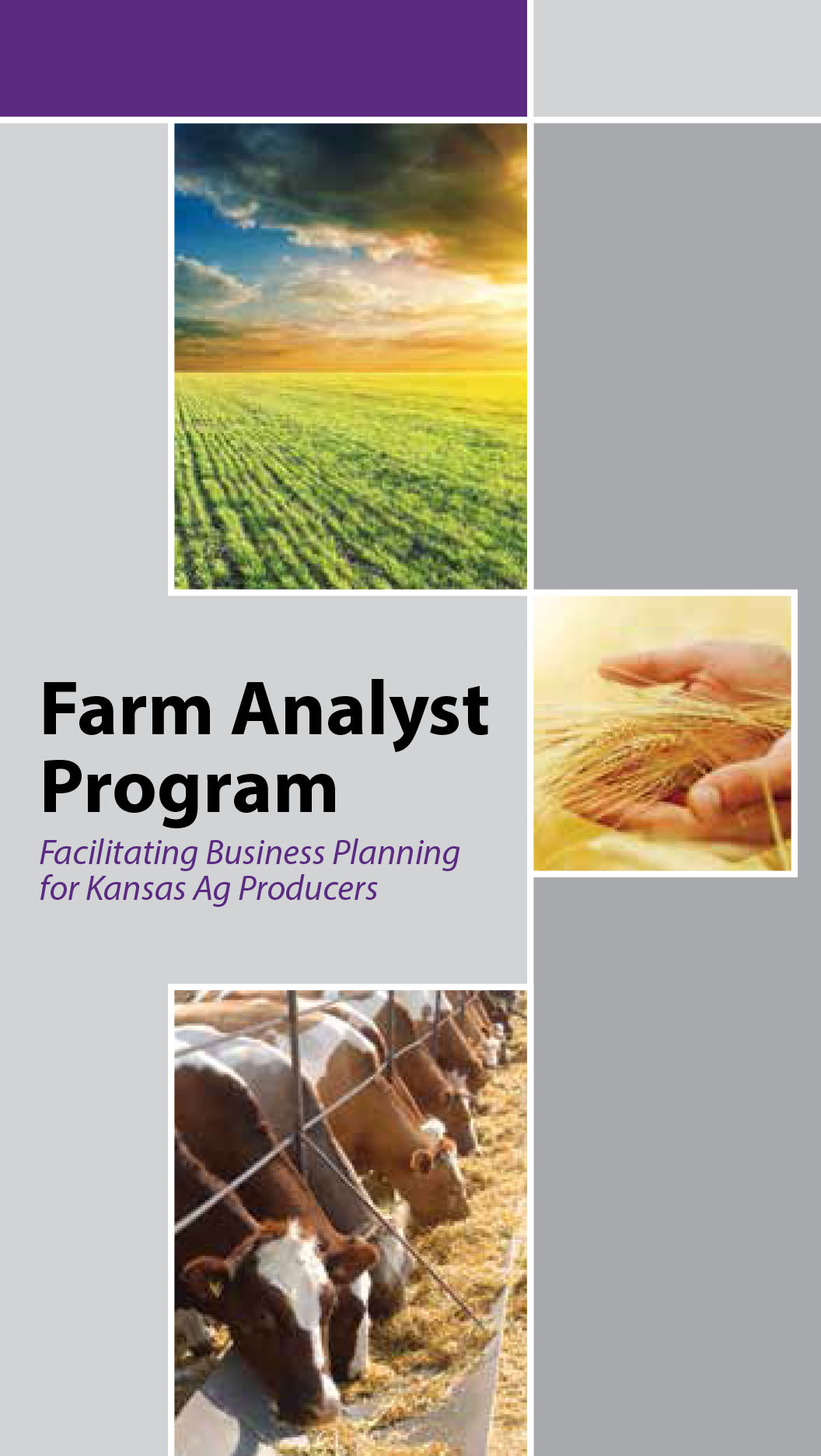 Farm Analyst Brochure