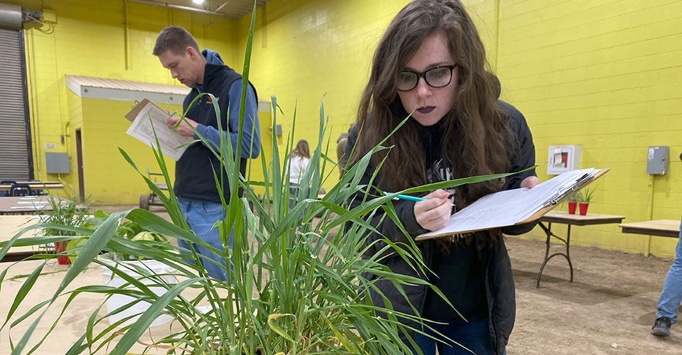 Woman looking at crops, writing notes on clipboard