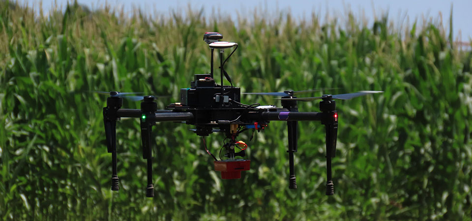 Unmanned aerial vehicle in air in front of corn field Unmanned aerial vehicle in air in front of corn field
