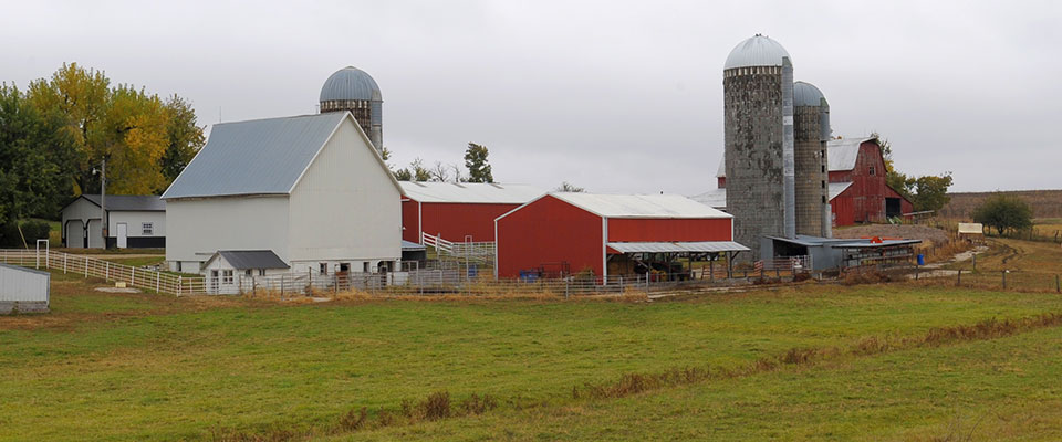 Kansas farm scene featuring red barn, grain silo and white buildings