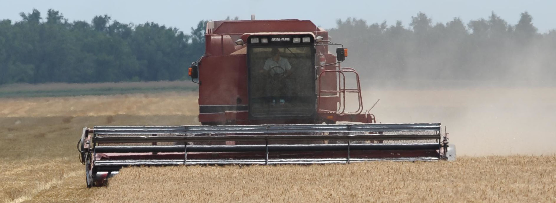 A farmer operating a combine. A farmer operating a combine.