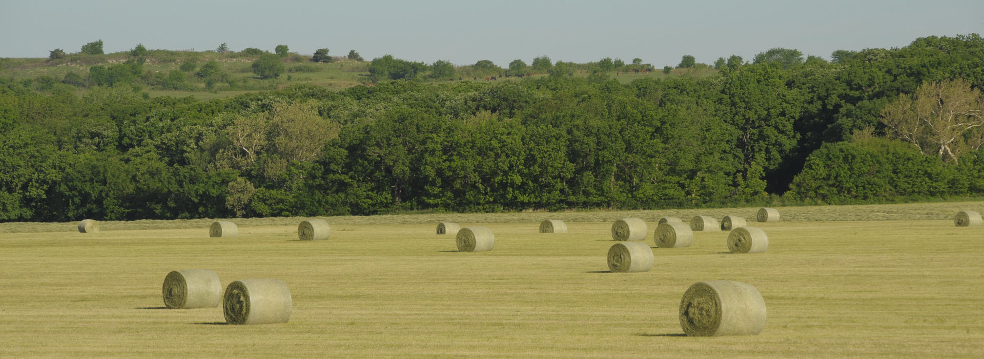 A hay field. A hay field.