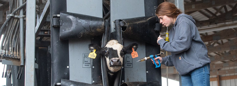 KSU Stocker Unit Processing KSU Stocker Unit Processing