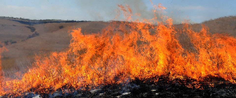 Red flames and smoke, controlled burn on the Kansas Flint Hills