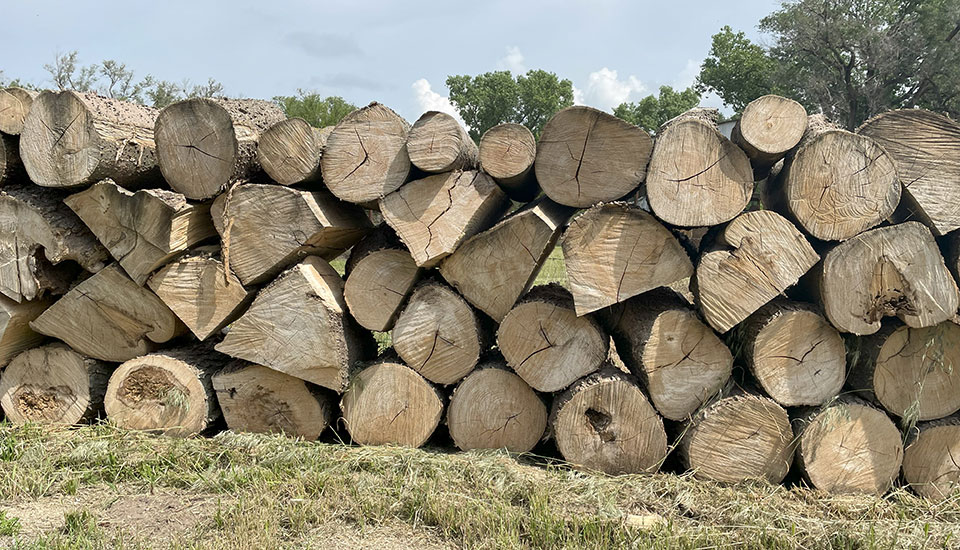 stacked firewood
