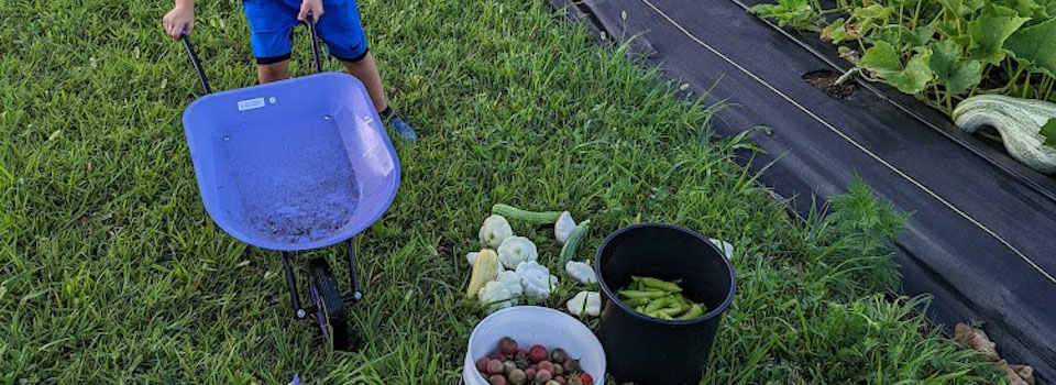 Gardening supplies. Gardening supplies.