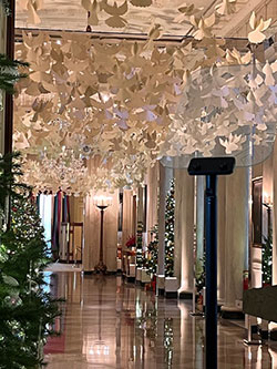 White House hallway with hundreds of paper doves hanging from ceiling White House hallway with hundreds of paper doves hanging from ceiling