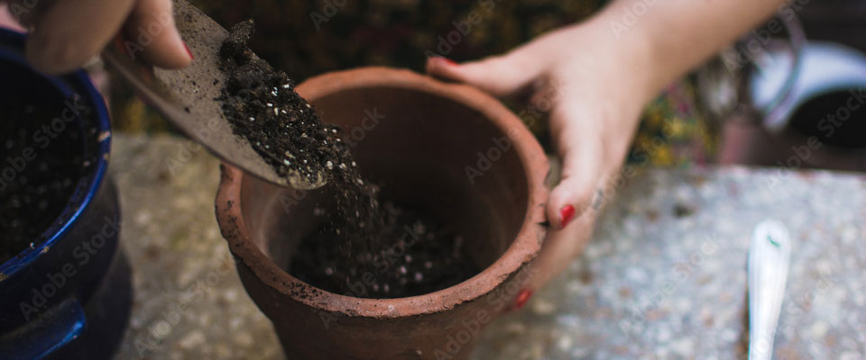 Closeup of woman's hands using small shovel to put potting soil into ceramic pot Closeup of woman's hands using small shovel to put potting soil into ceramic pot