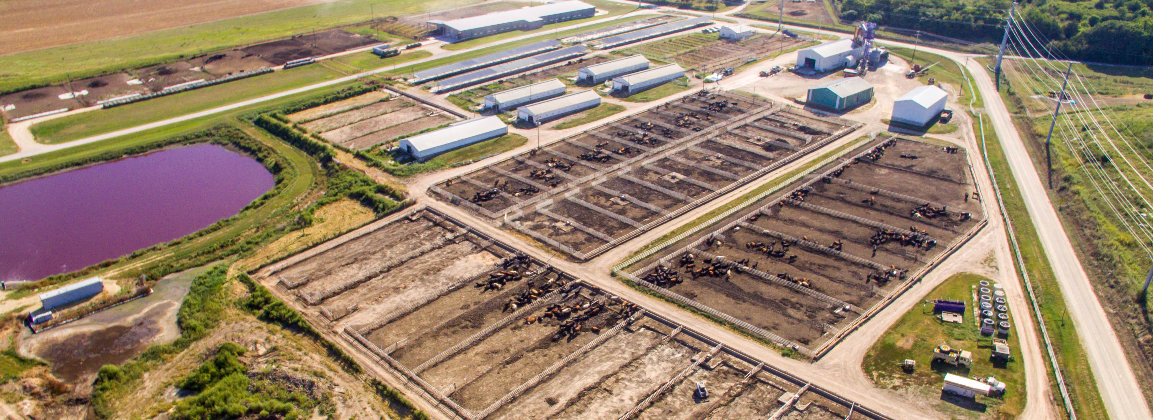 Beef Research facility Aerial image of beef research facility