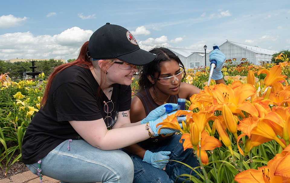 Two female college students analyzing colorful flowers near a greenhouse under a clear, blue sky Two female college students analyzing colorful flowers near a greenhouse under a clear, blue sky