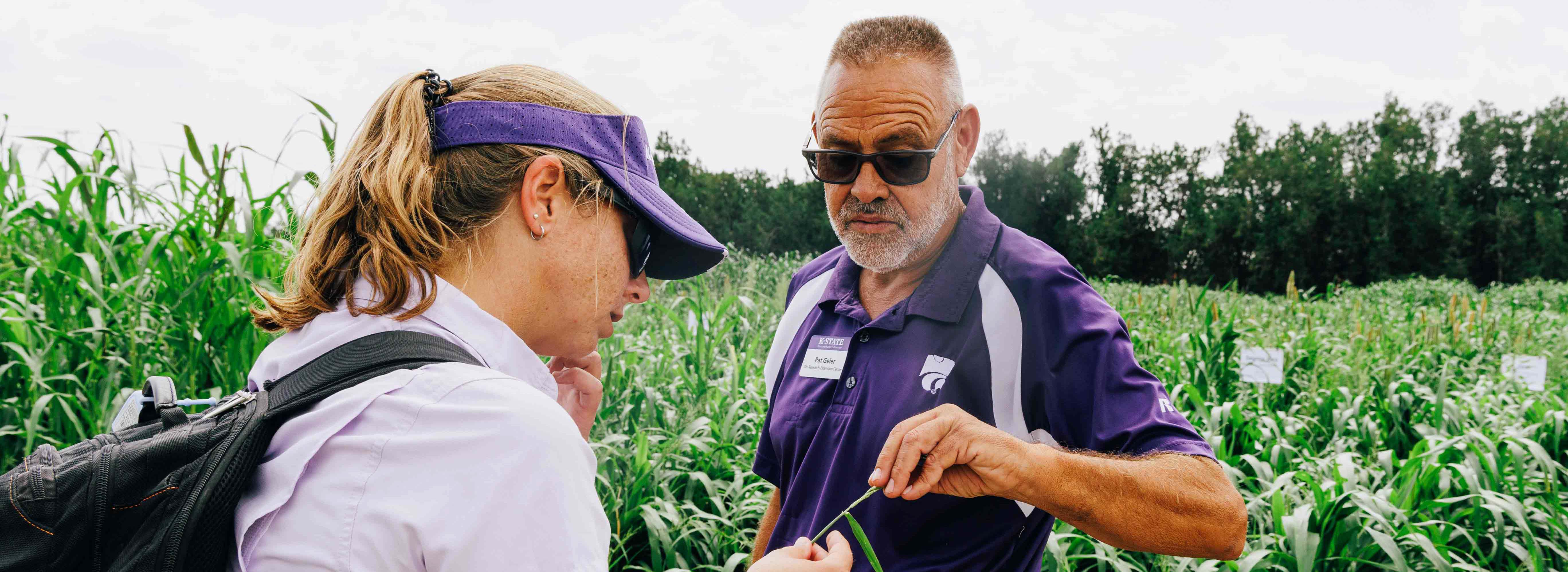 A man showing a woman corn leaves