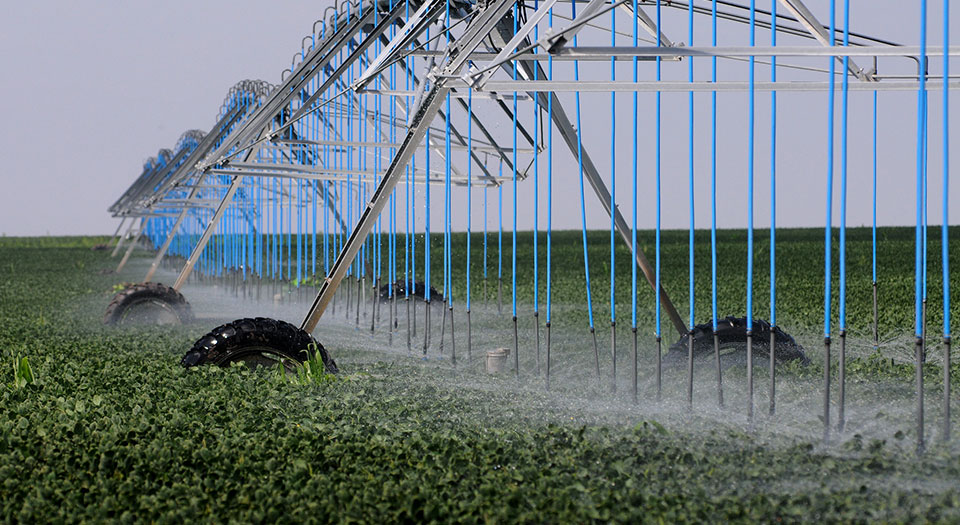 view of irrigation center pivot with blue hoses spraying water on lush green field view of irrigation center pivot with blue hoses spraying water on lush green field