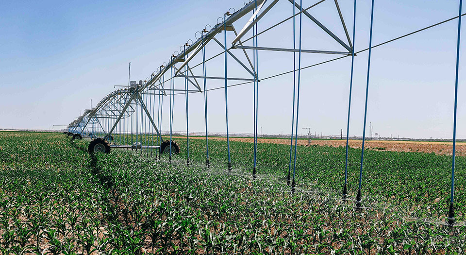 long view of a center pivot irrigation sprinkler in a kansas farm field long view of a center pivot irrigation sprinkler in a kansas farm field