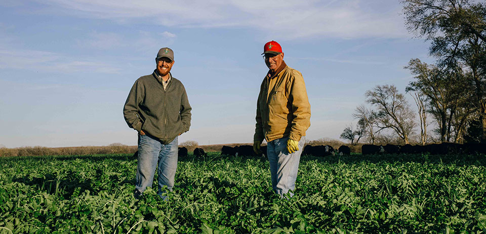 Two men wearing jeans and jacket standing in a green field of cover crops