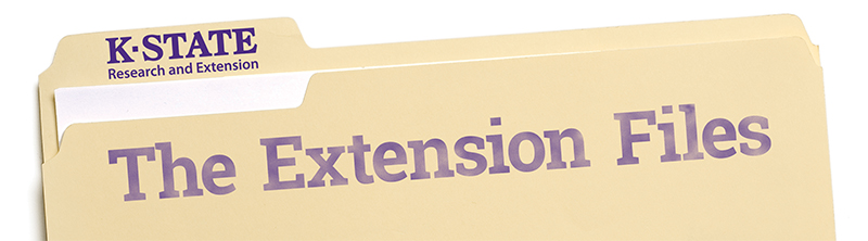 Extension Files folder image