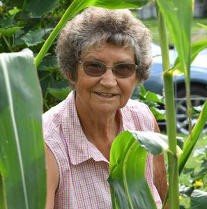 Close-up of Melvina Jones amidst corn stalks