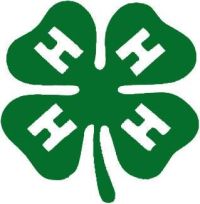 4-H Clover