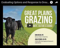 grazing videos