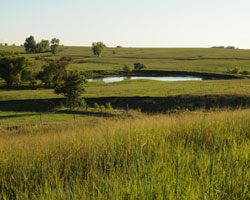 Pasture Pond