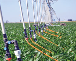 mobile drip irrigation