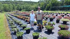 Joe Edmunds - Kaw Valley Greenhouses