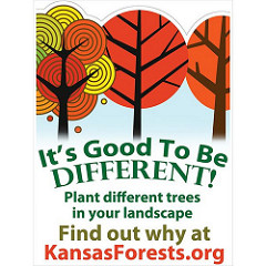 Tree Diversity Logo
