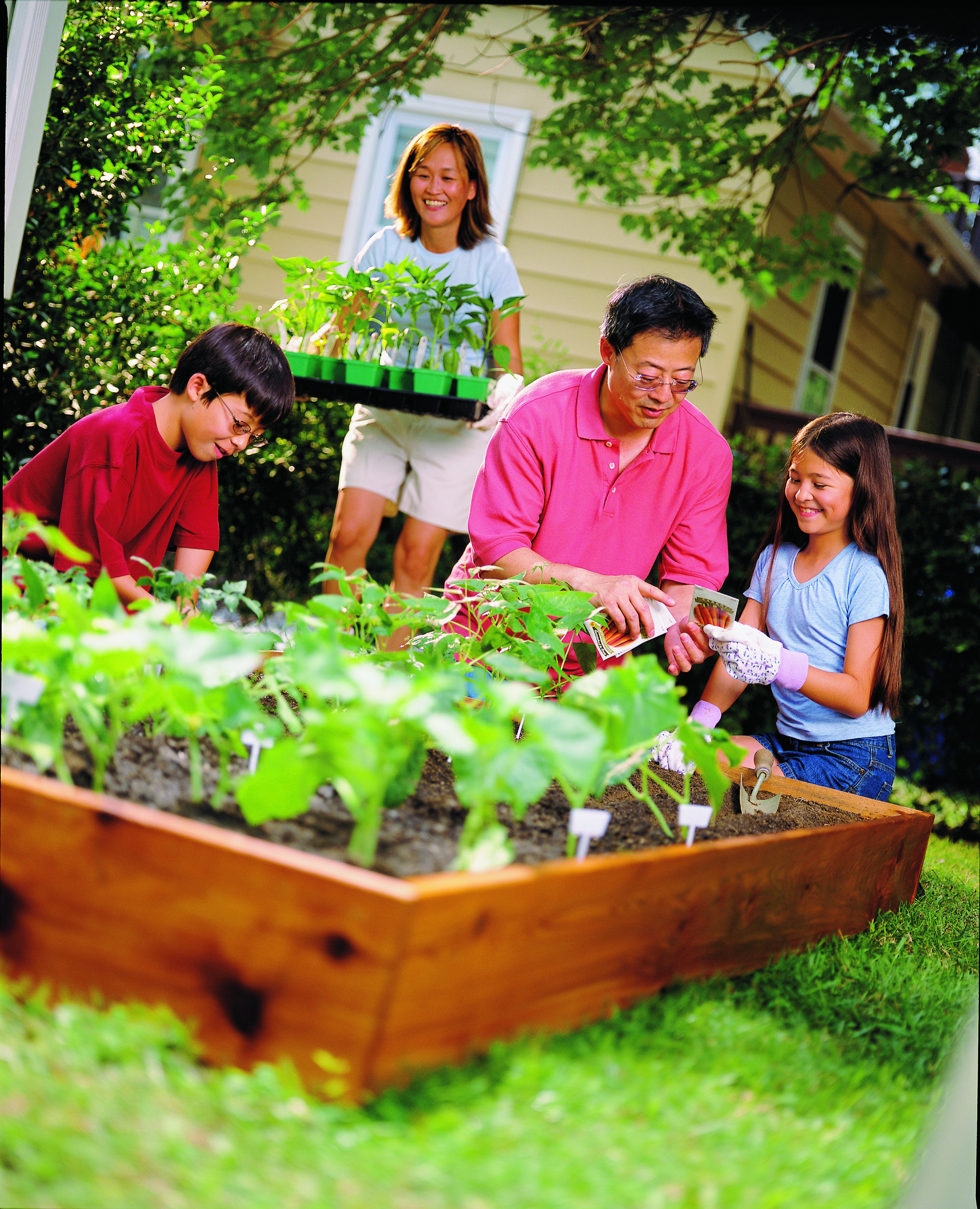 Continue the benefits of vegetable gardening into the fall