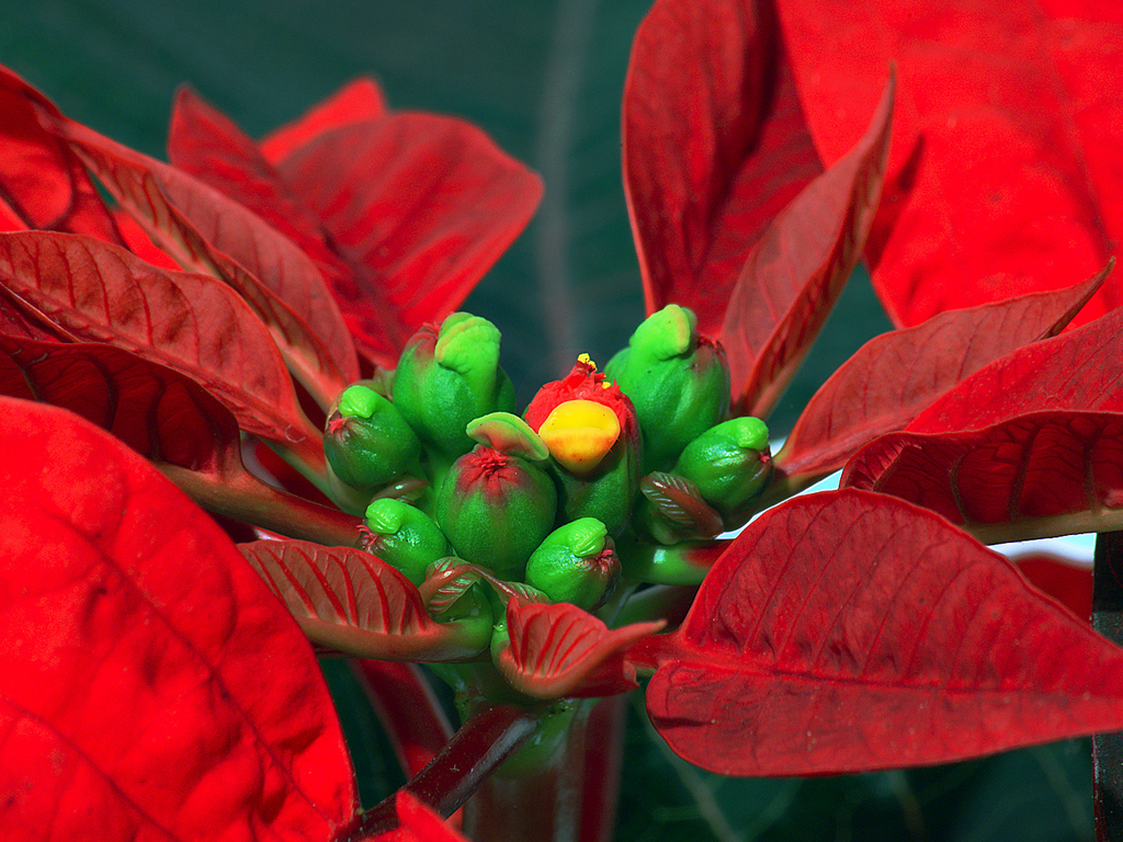 KansasRoadTemplate KansasRoadTemplate