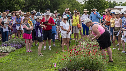 Horticultural Field Day at K-State Olathe