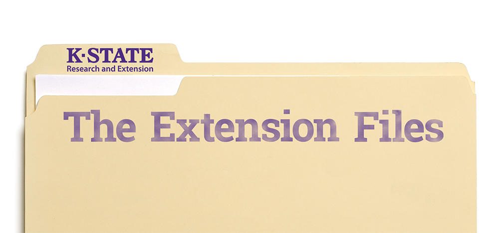 Extension files image Extension Files logo featuring a file folder labeled The Extension Files