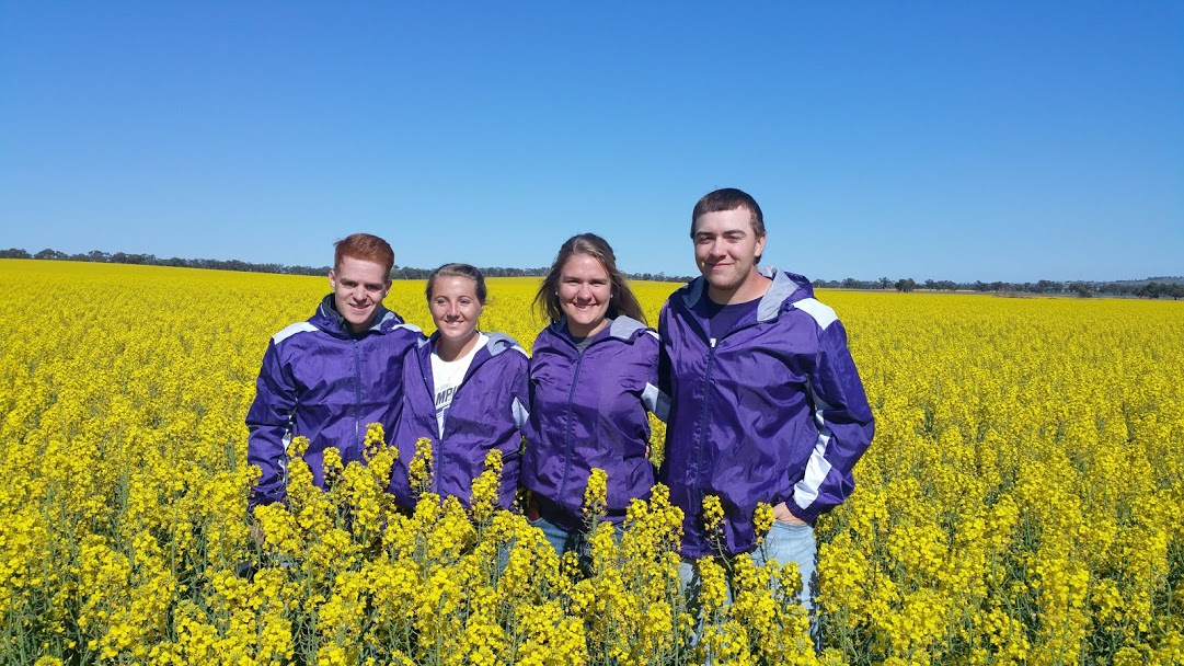 crops team australia