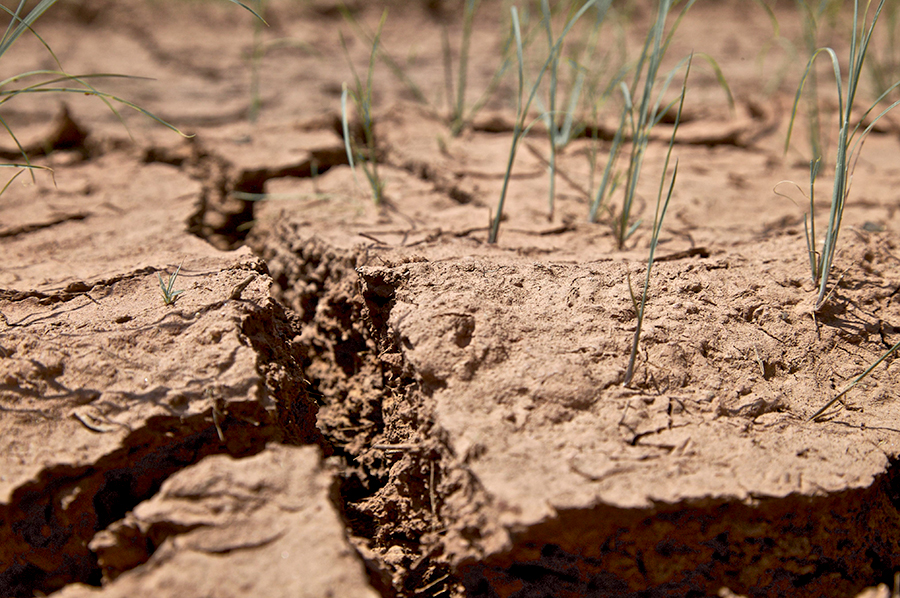 Dry soil