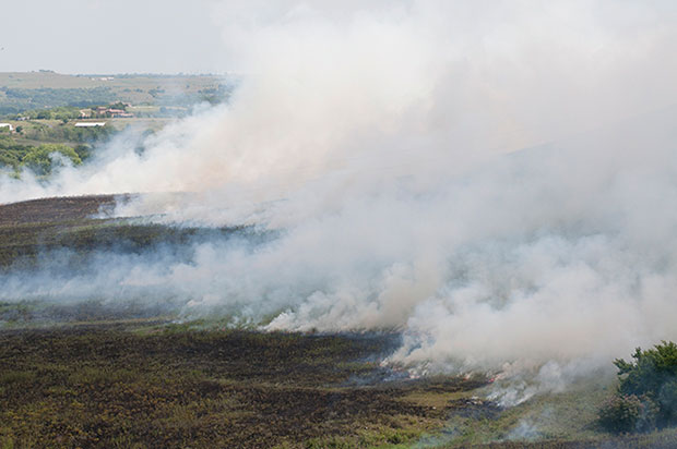 Fall prescribed burning, KSU Stocker Unit Fall prescribed burning, KSU Stocker Unit