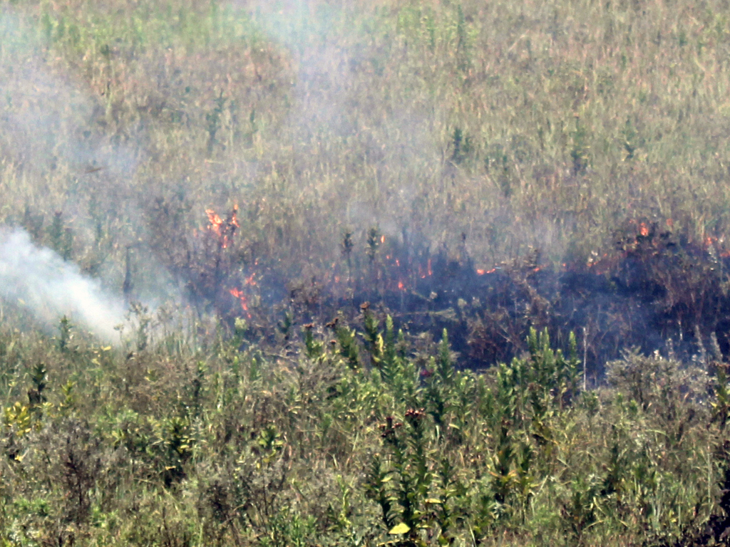 2018-summer-burning-photo1 2018-summer-burning-photo1