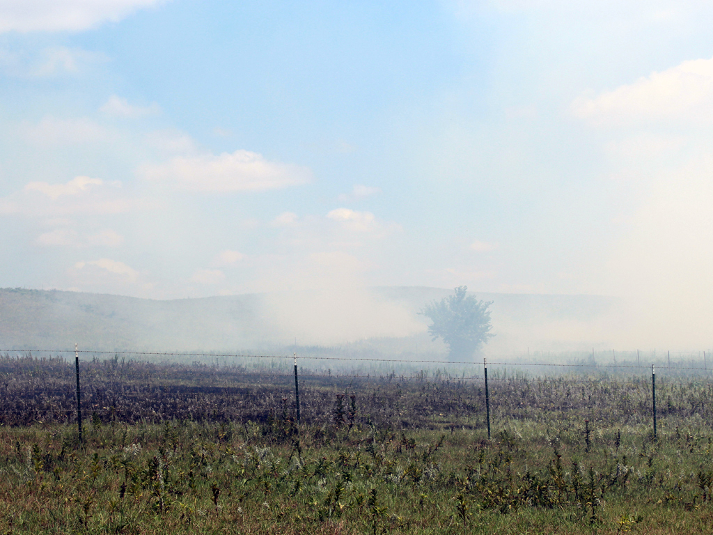 2018-summer-burning-photo3 2018-summer-burning-photo3