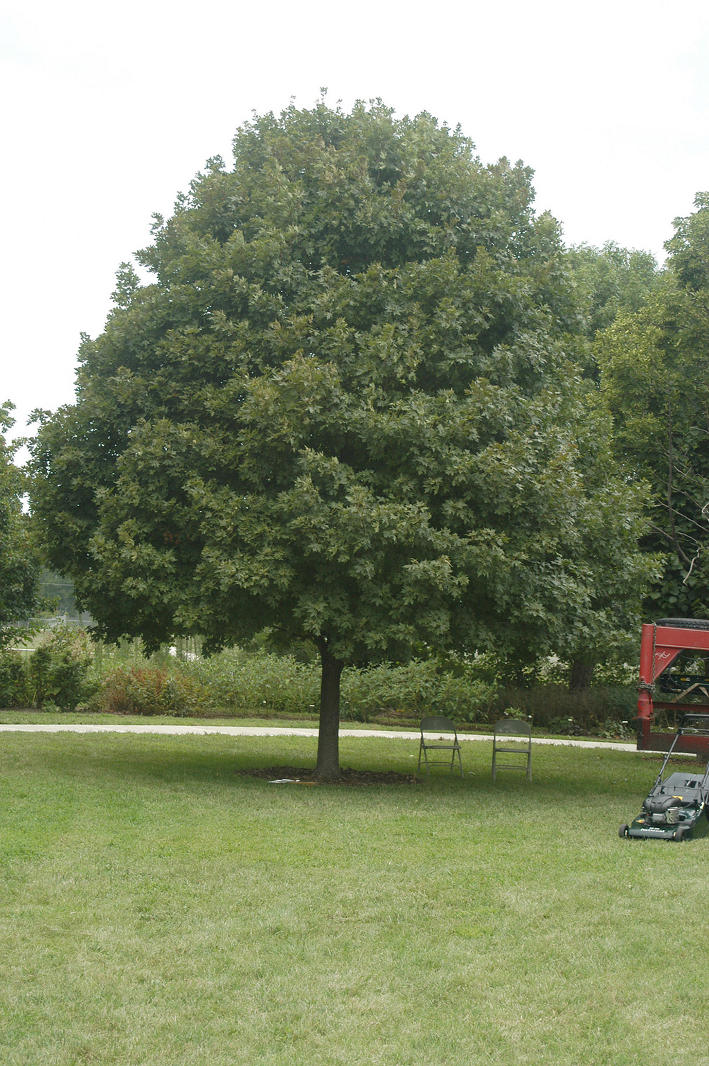 Forestry Fall Field Day Forestry Fall Field Day