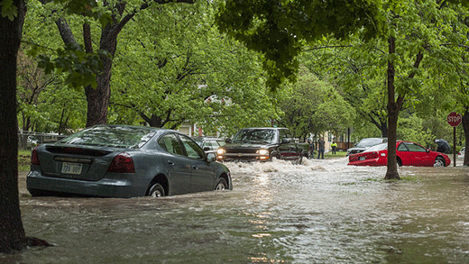 Car in floodwater, EDEN emergency preparedness