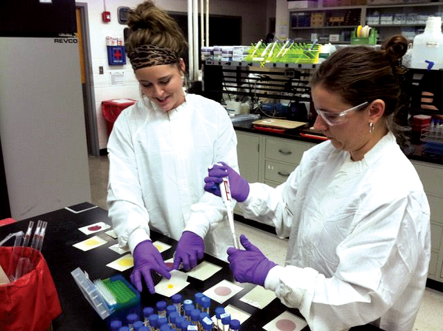 Food science students work in a lab