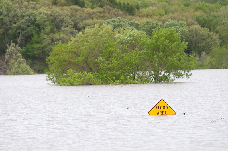 Flooding sign A "flood area" sign is partially submerged at Fancy Creek near Tuttle Creek Reservoir north of Manhattan, Kanasas.